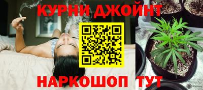 гидра Кандалакша